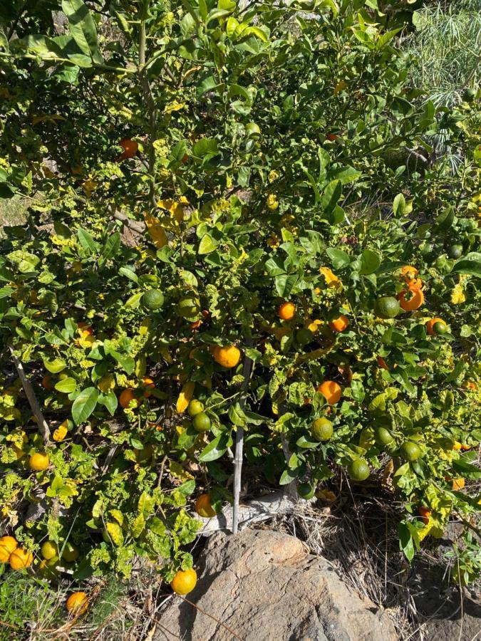 Taburiente Villa Tijarafe Dış mekan fotoğraf