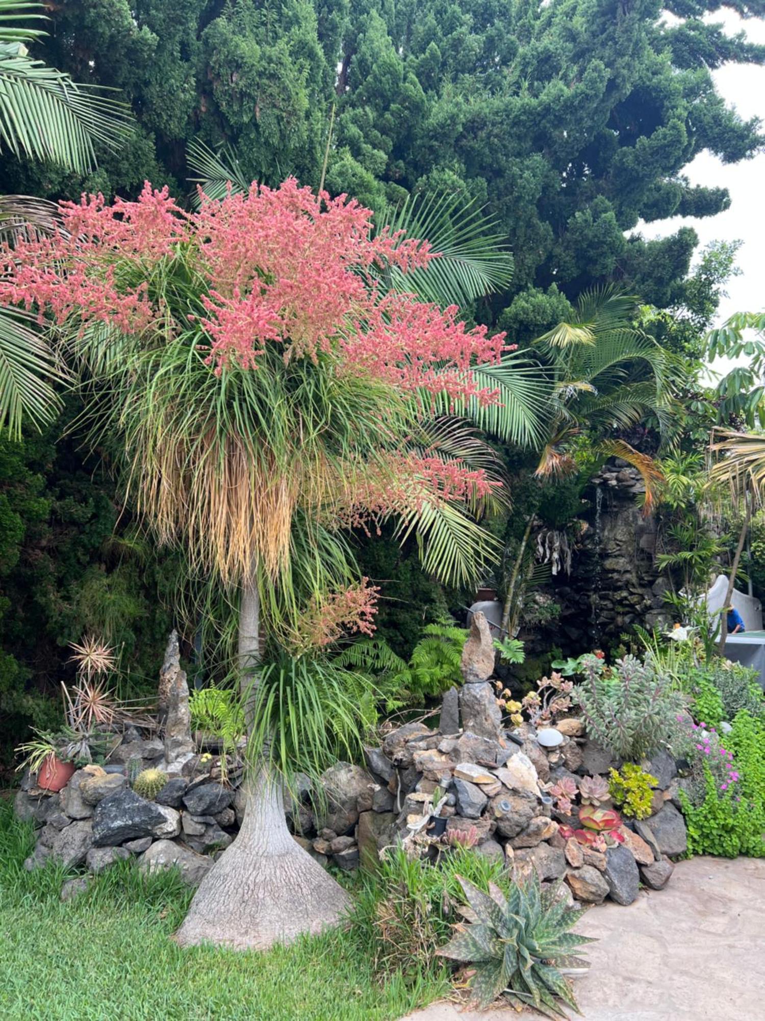 Taburiente Villa Tijarafe Dış mekan fotoğraf