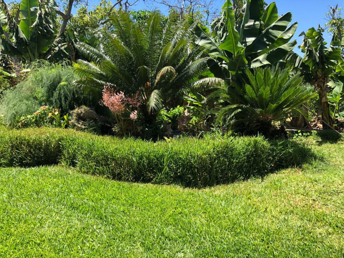 Taburiente Villa Tijarafe Dış mekan fotoğraf
